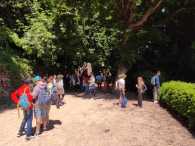 IMG-20250525-WA0074