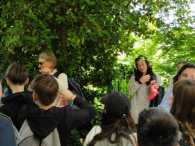 IMG-20250525-WA0075