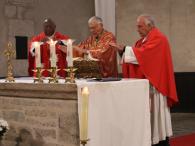 IMG_3454_cr